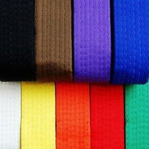 Replacement Belt