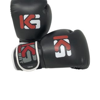 Basic 10oz Boxing Gloves