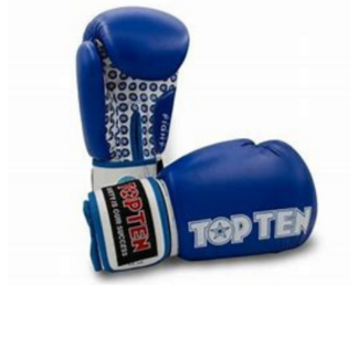 Top Ten 10oz Boxing Gloves