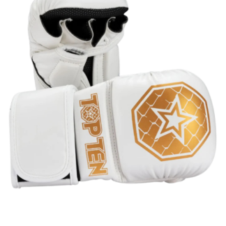Top Ten MMA Gloves